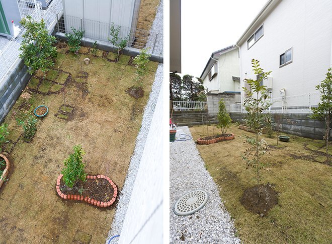 芝が根付いて、一面の芝生になるのが楽しみです