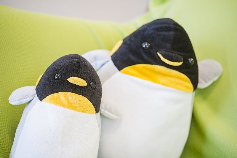 ソファにはかわいいペンギンも。新婚の雰囲気を醸し出しています