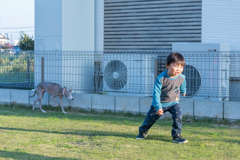 お子様とワンちゃんが庭で伸び伸びと遊べます