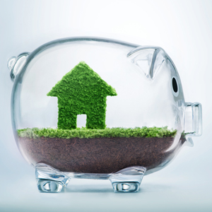 理想は貯蓄から現金購入を行う