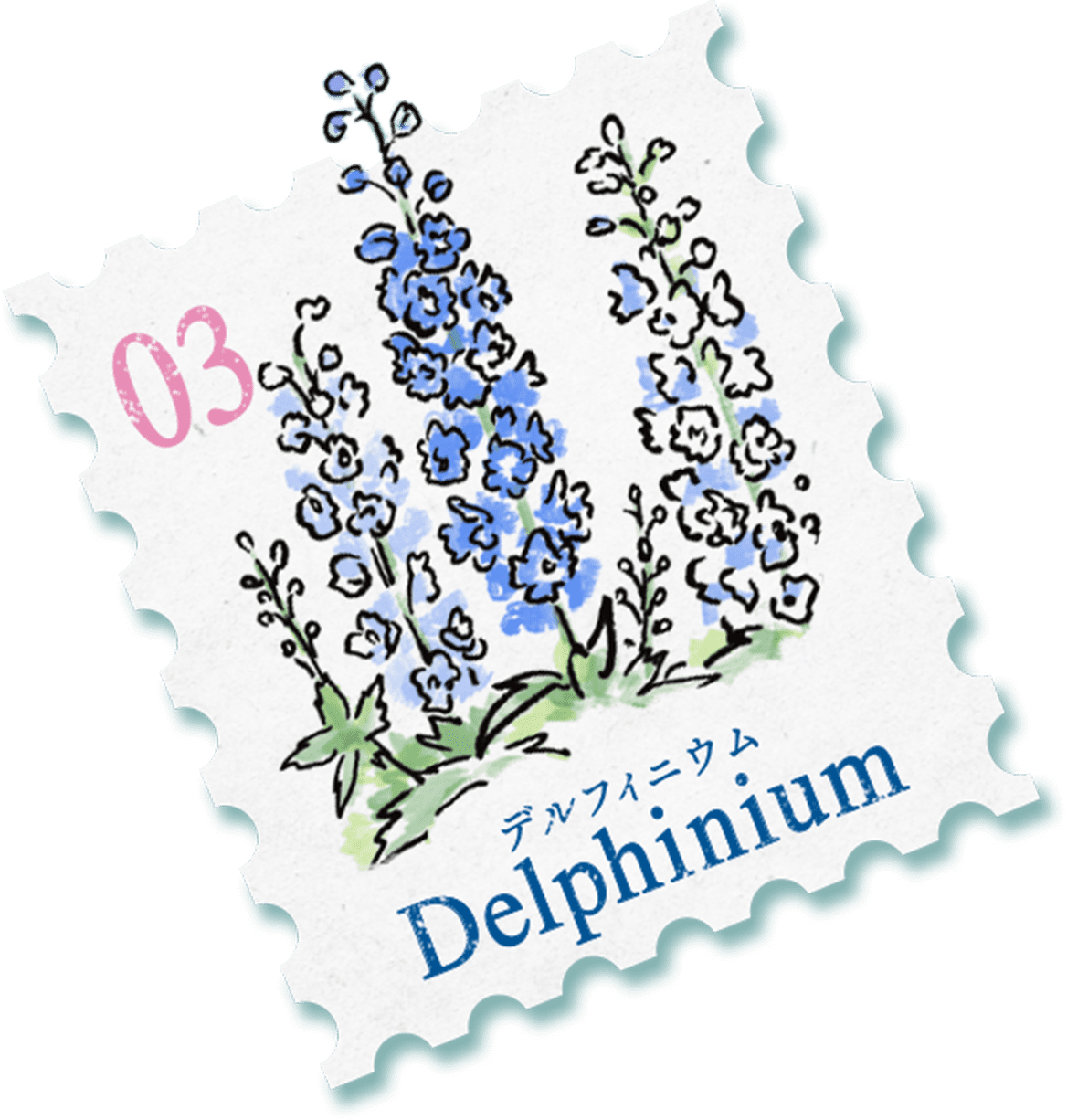 デルフィニウム