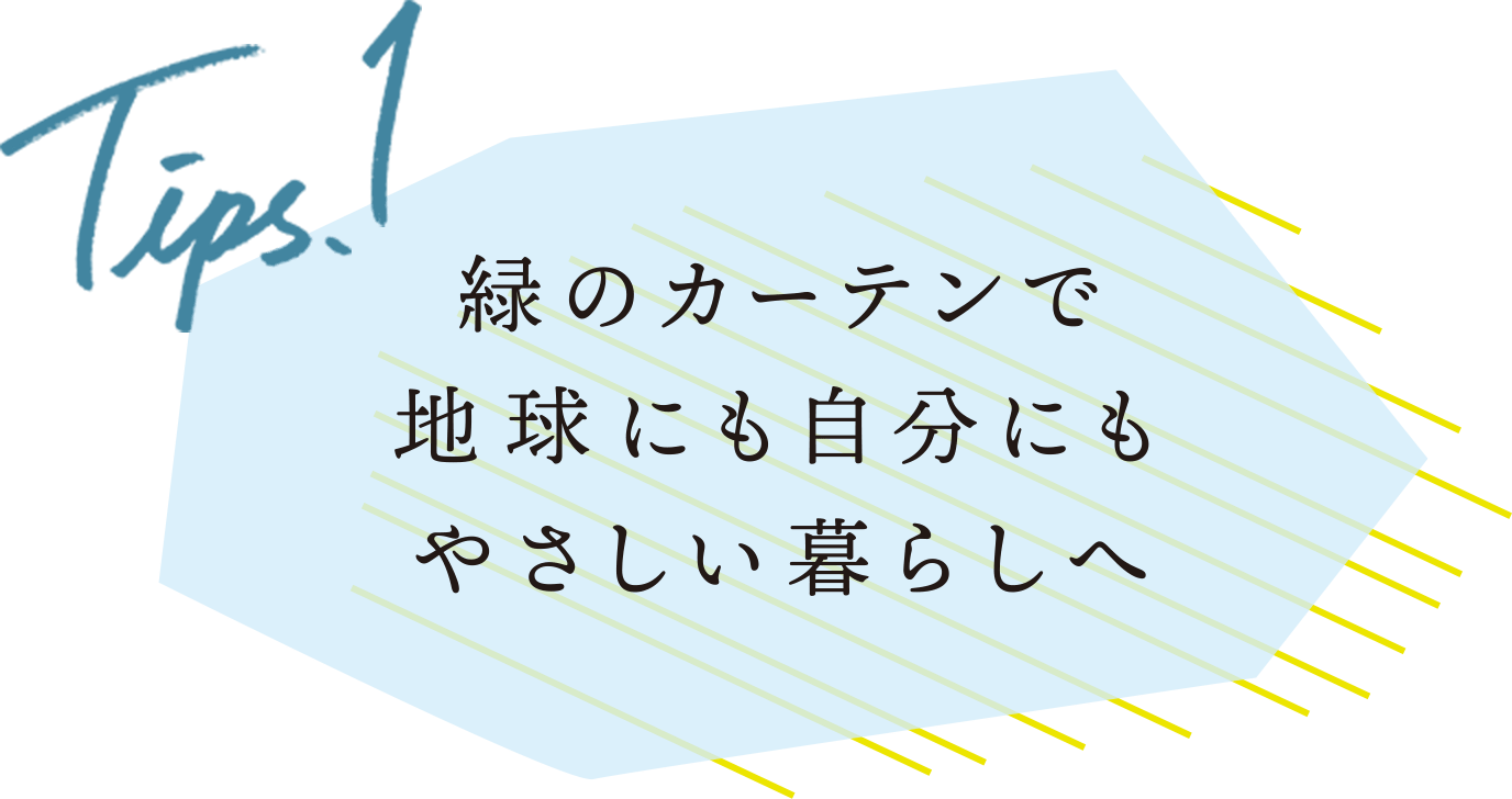 Tips1 緑のカーテンで地球にも自分にもやさしい暮らしへ