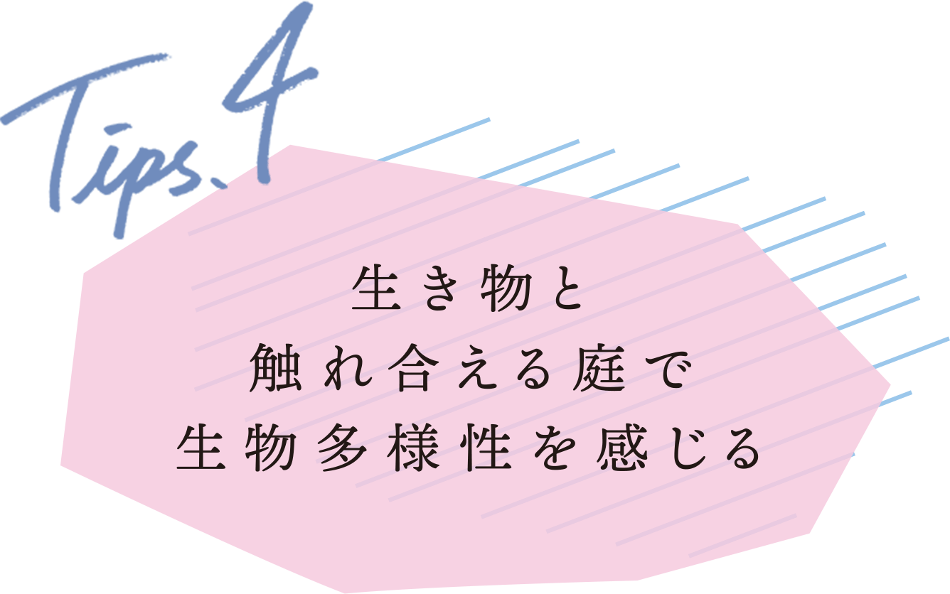 Tips4 生き物と触れ合える庭で生物多様性を感じる