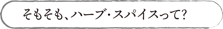 そもそも、ハーブ・スパイスって？