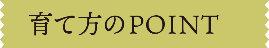 育て方のPOINT