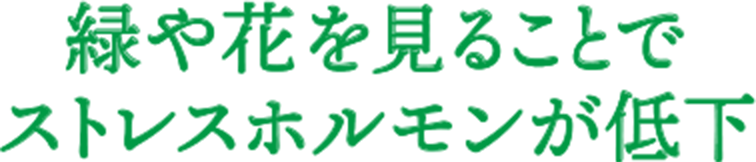 緑や花を見ることでストレスホルモンが低下