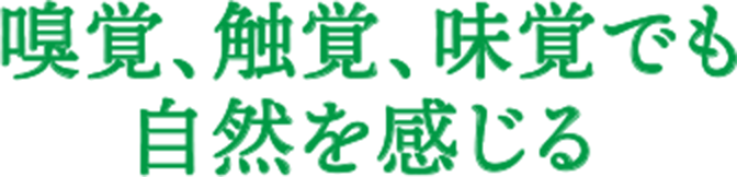 嗅覚、触覚、味覚でも自然を感じる