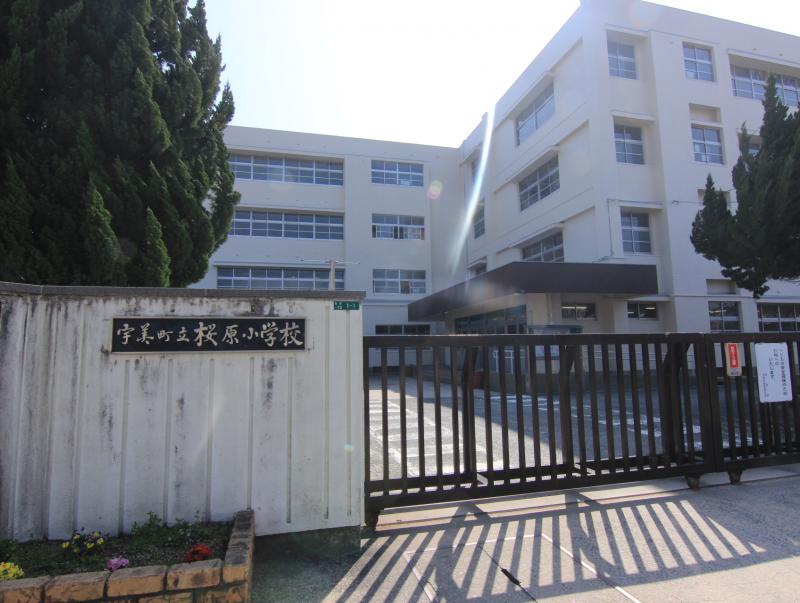 桜原小学校