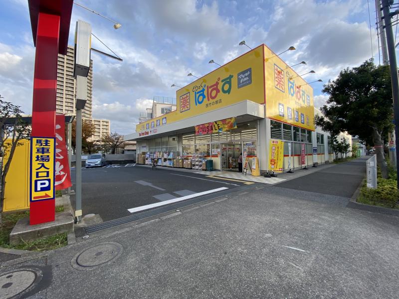 どらっぐぱぱす西竹の塚店