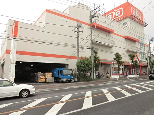 ザ・ビック八潮店