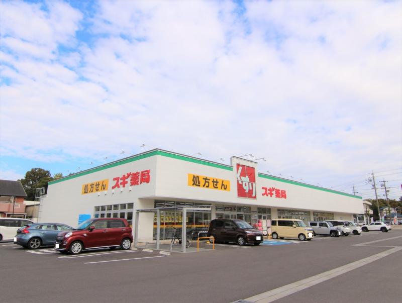 スギドラッグ寺横店
