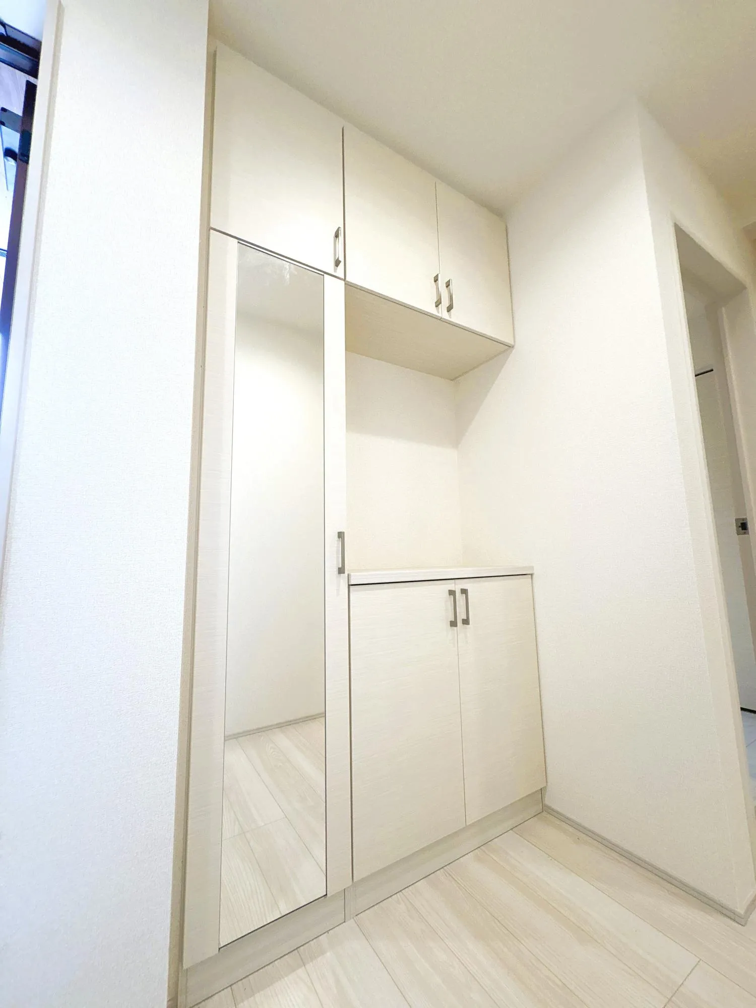1号棟　玄関収納