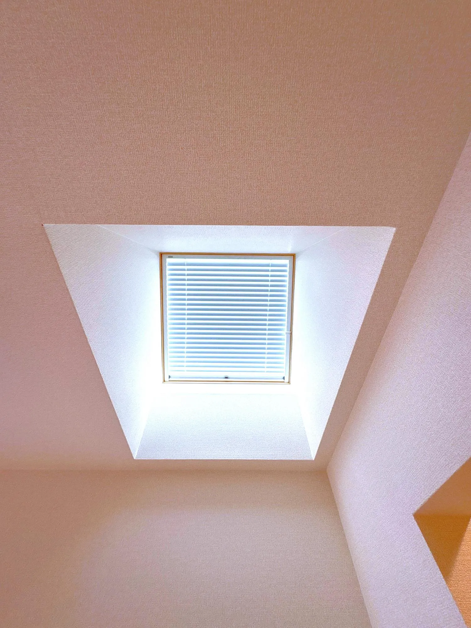 1号棟　トップライト