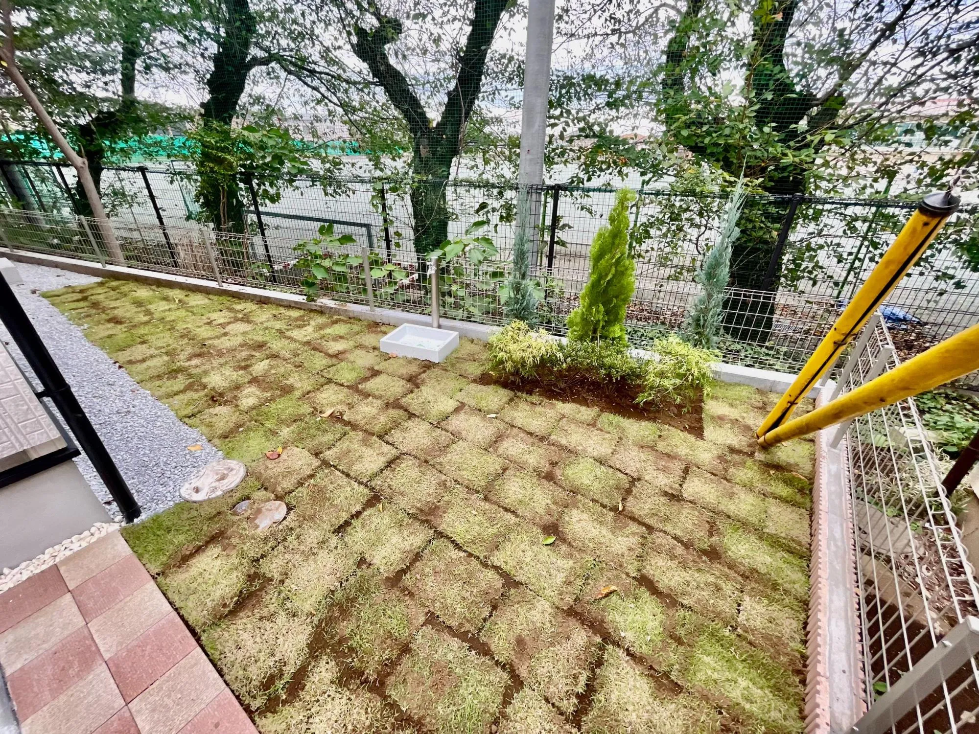 【外観 庭 植栽】