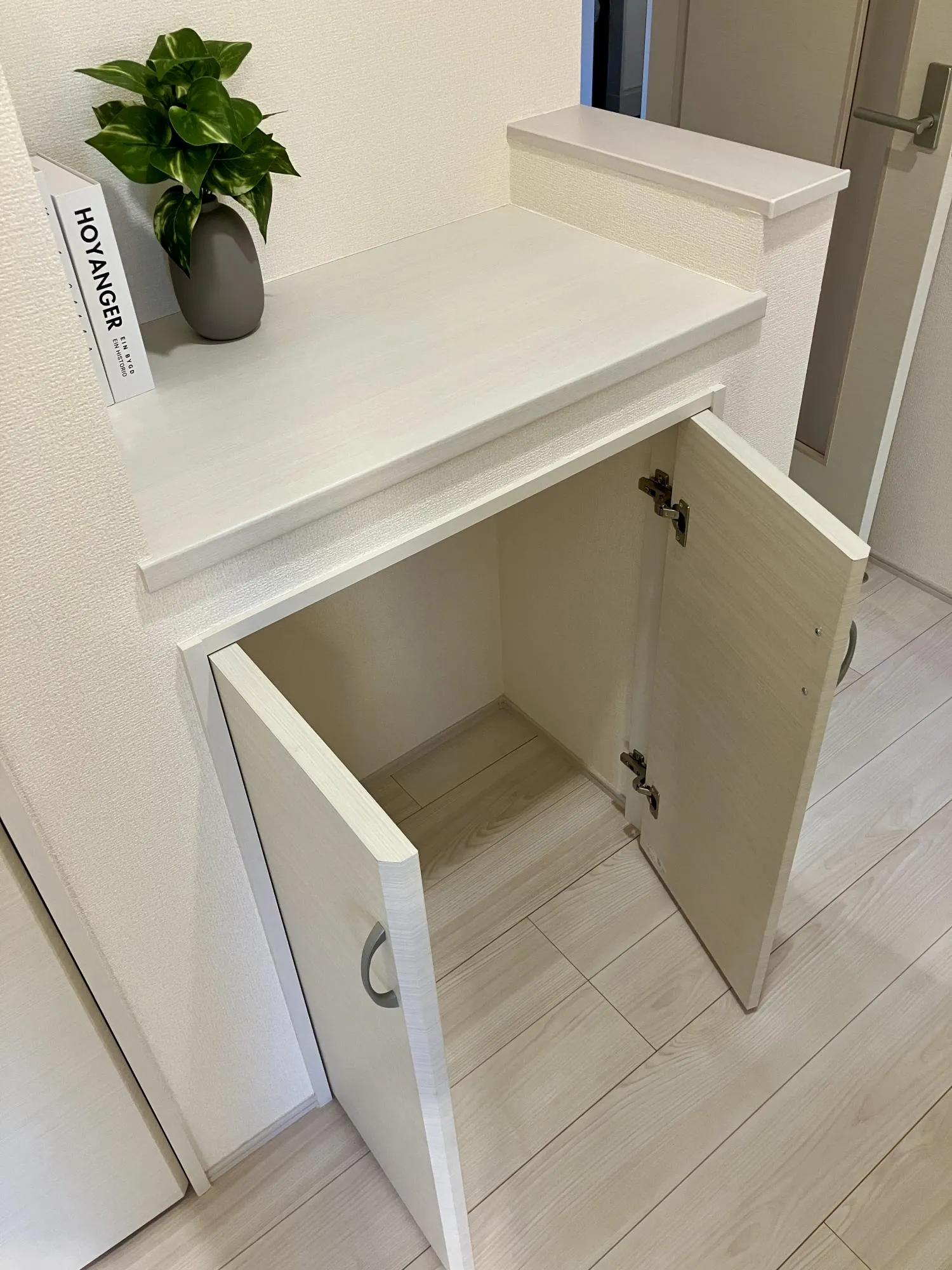 【1階 LDK(18.5帖) 収納】