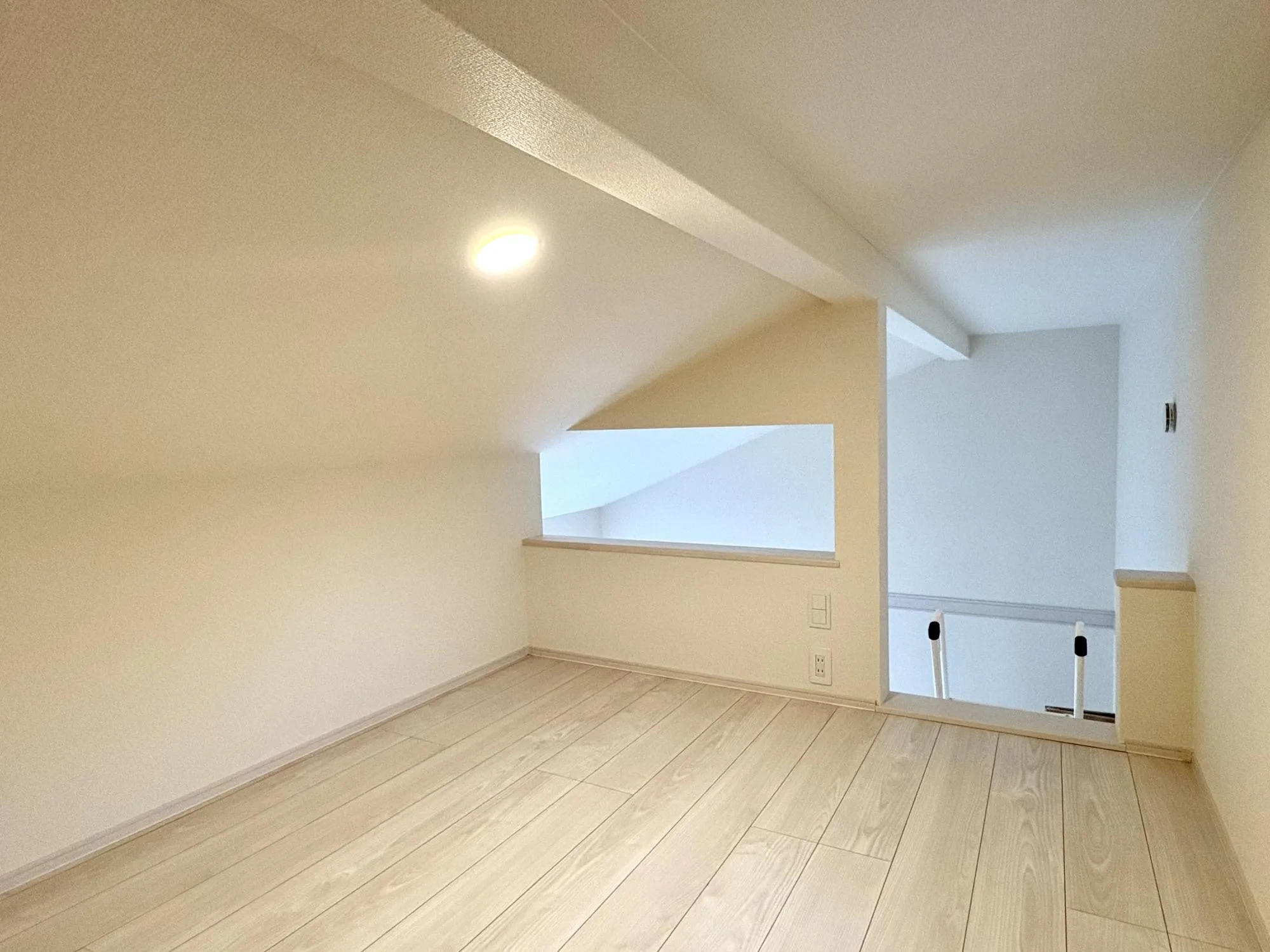 【1号棟 ロフト】