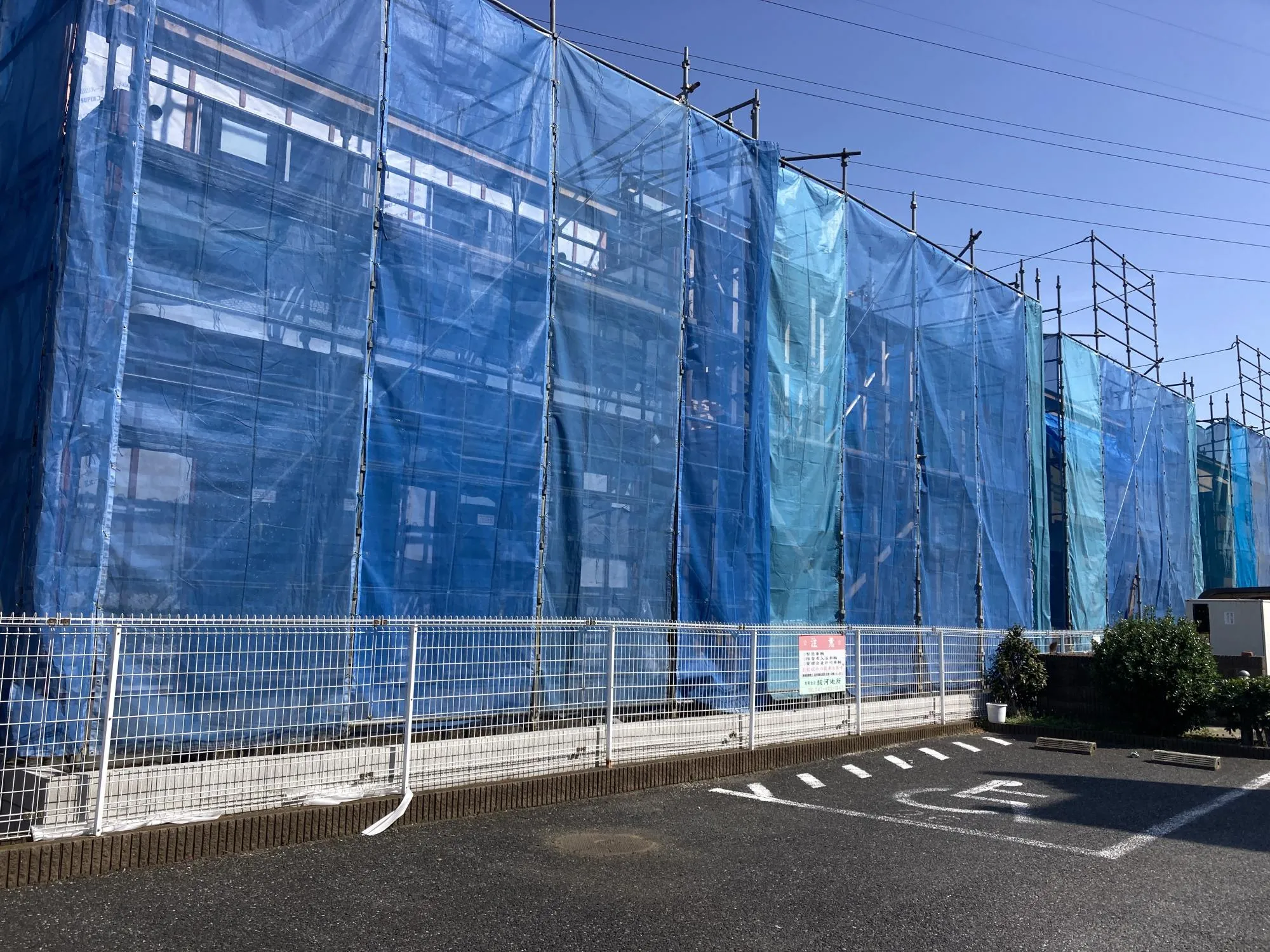 ★販売現地★
2026.3.1　撮影