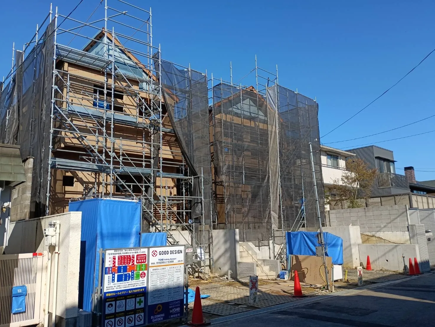 2026年1月上旬撮影