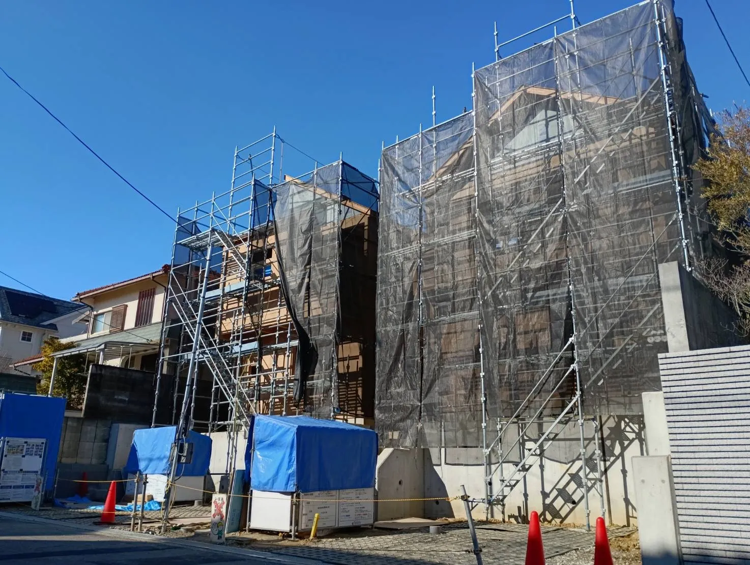 2026年1月上旬撮影