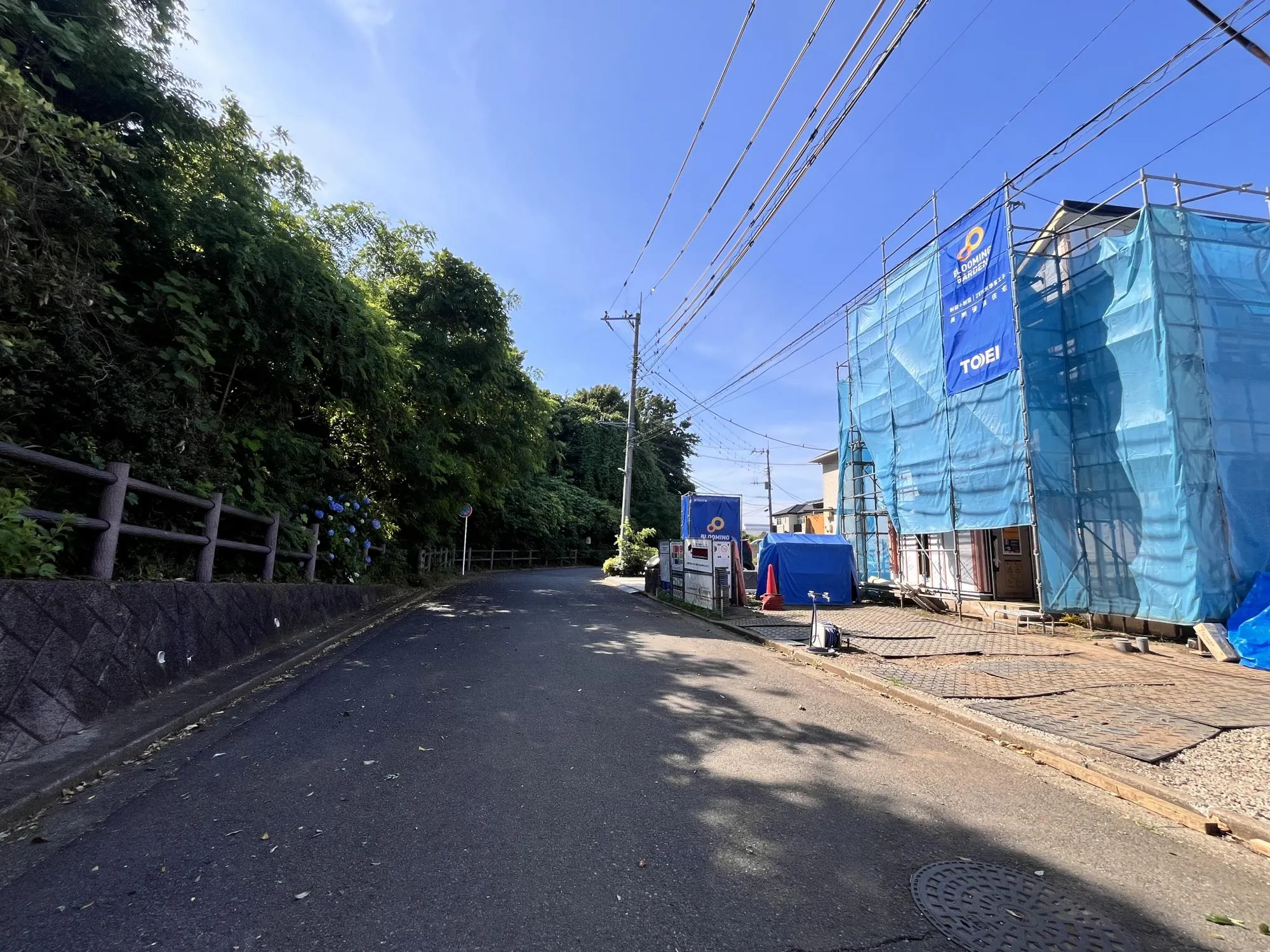 【現地写真　6月中旬撮影】