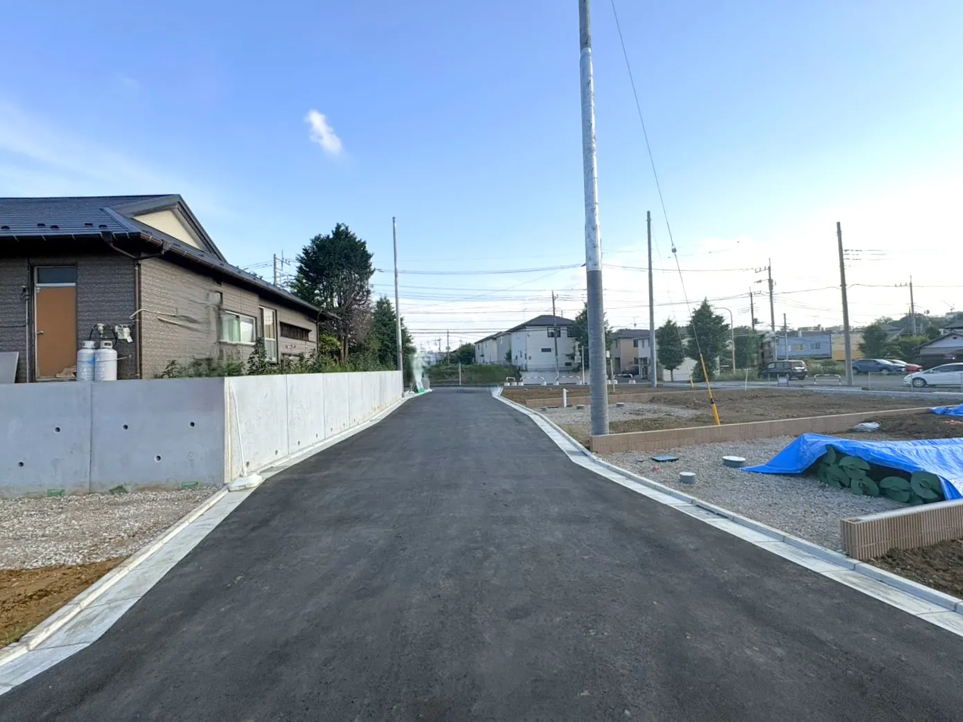 ◇現地写真