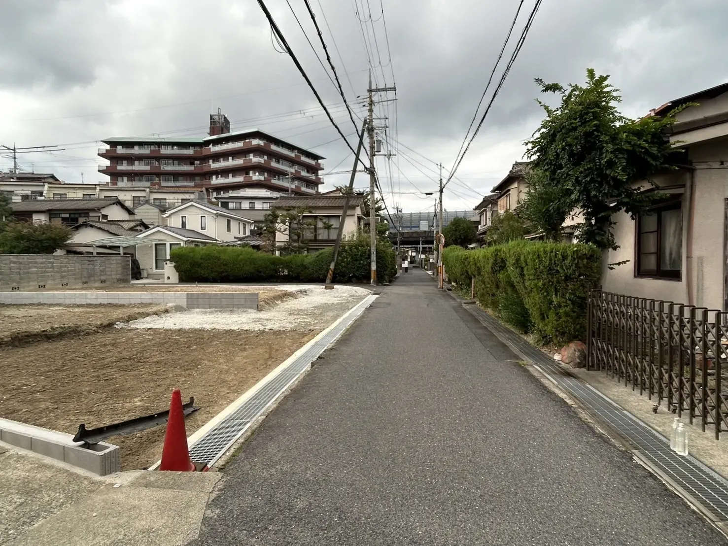 【販売現地】2025.9.26撮影