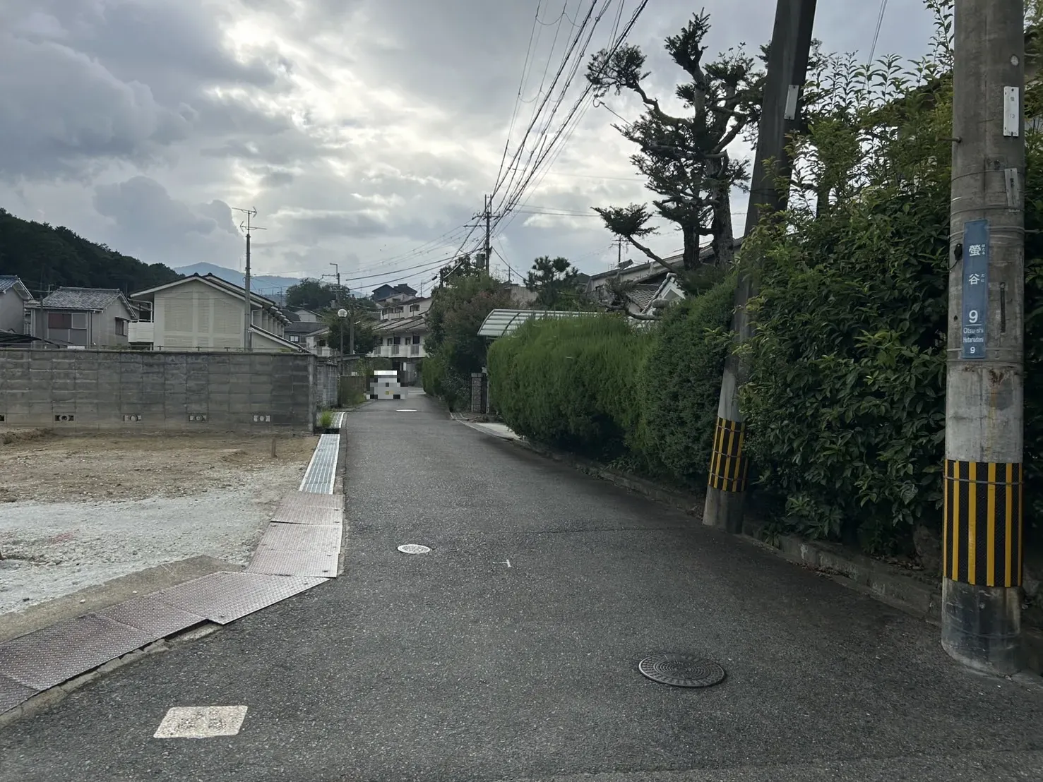 【販売現地】2025.9.26撮影