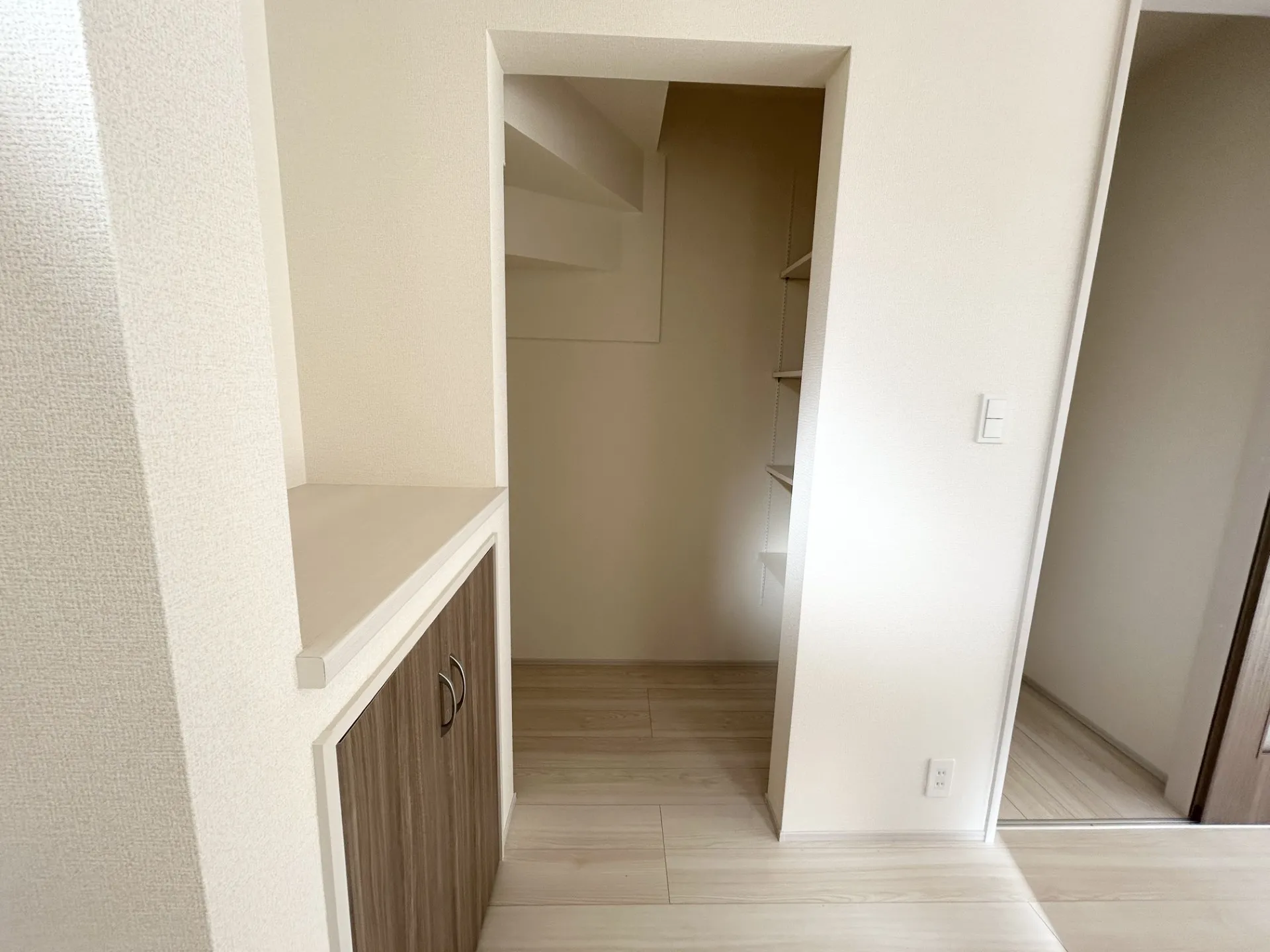 家電なども置ける便利なカウンターと可動棚。お部屋をきれいに保てます。