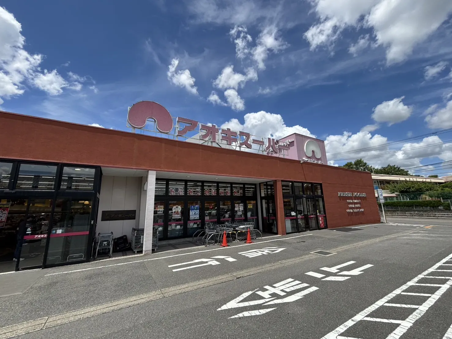 アオキスーパー豊明店