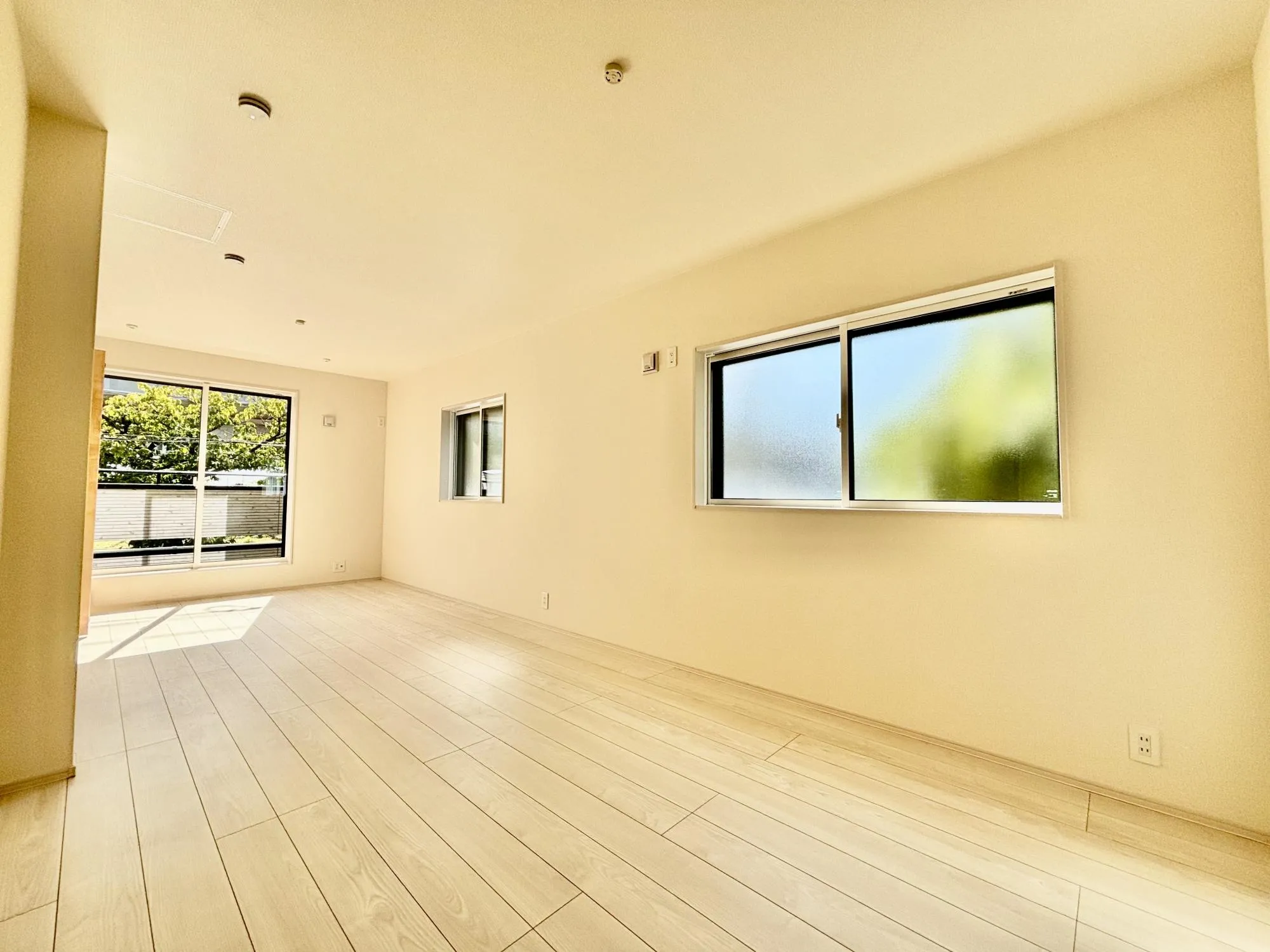 洋室11.25帖(壁設置で、2部屋に分割可)