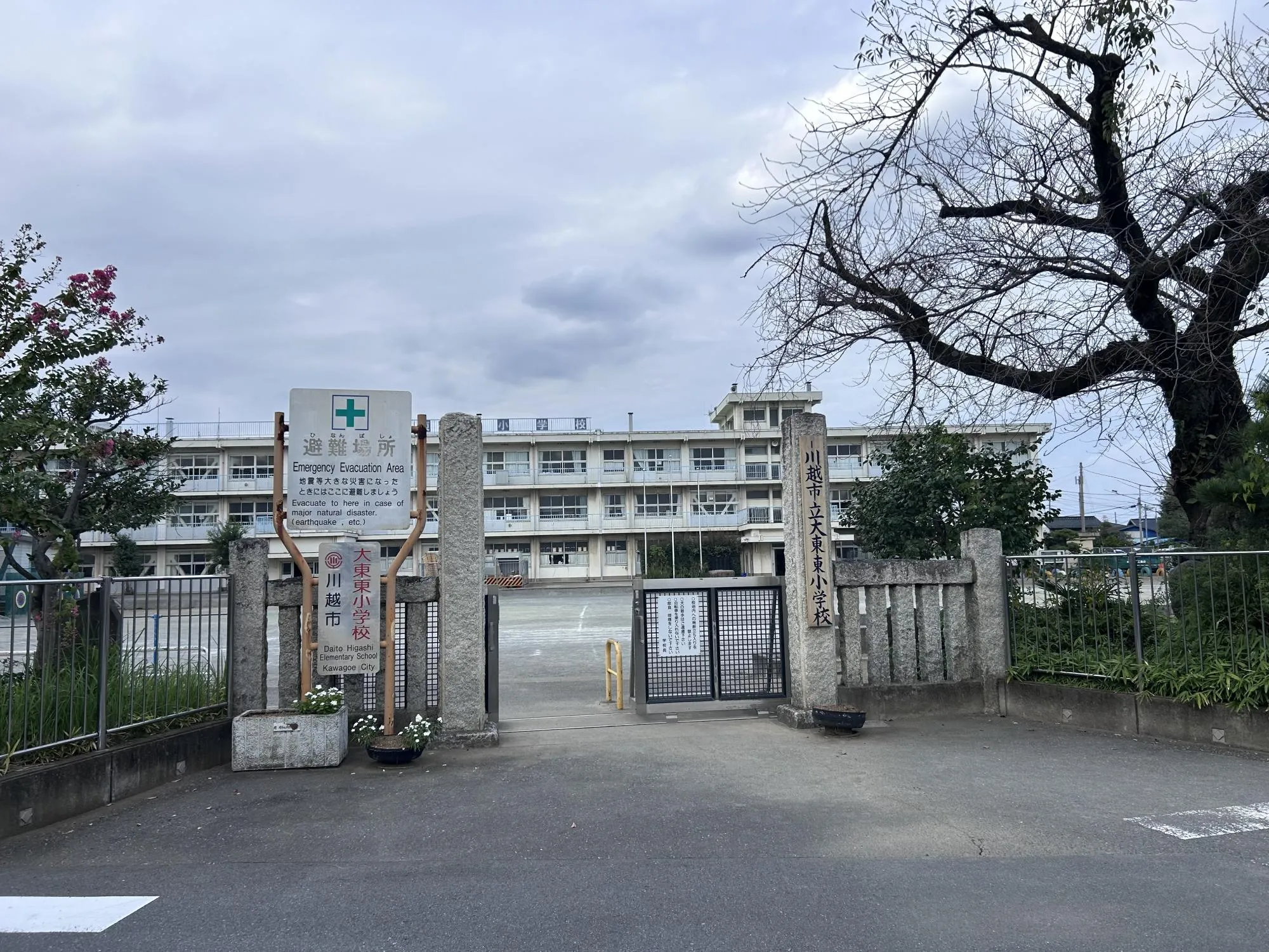 大東東小学校