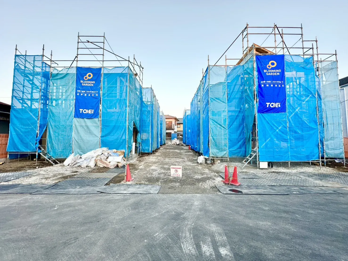 現地写真(11/30撮影)