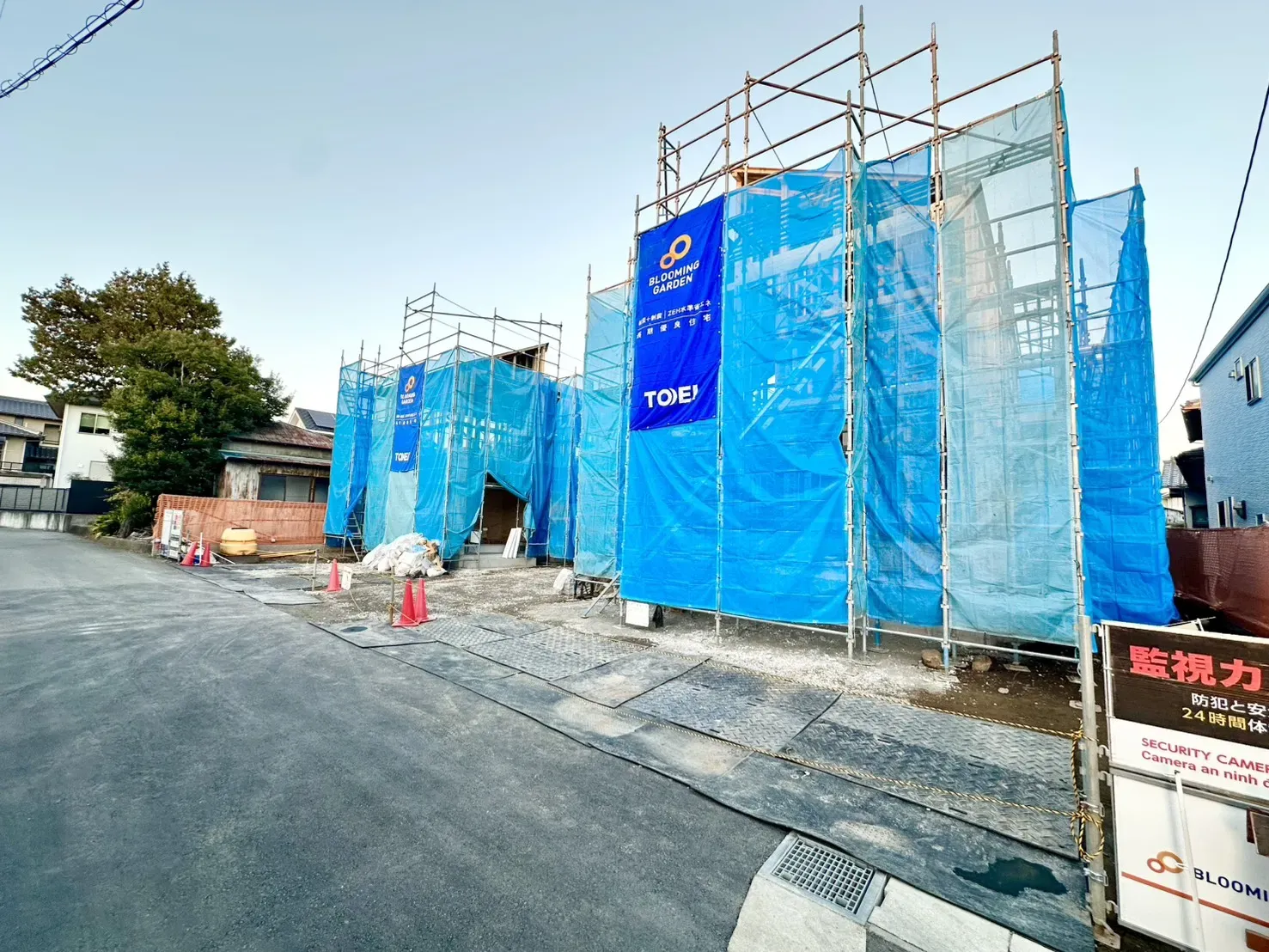 現地写真(11/30撮影)