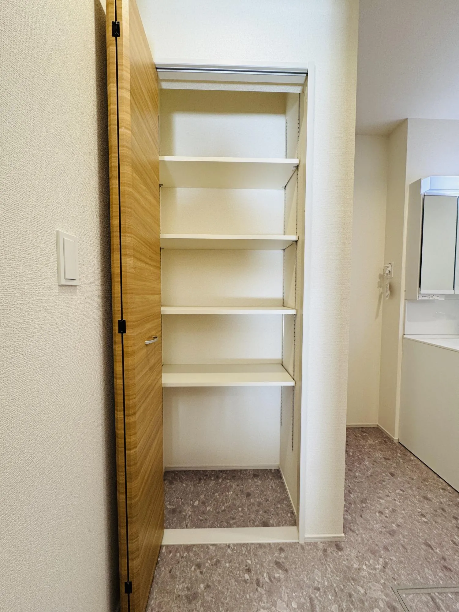 【1号棟:洗面所内・収納】