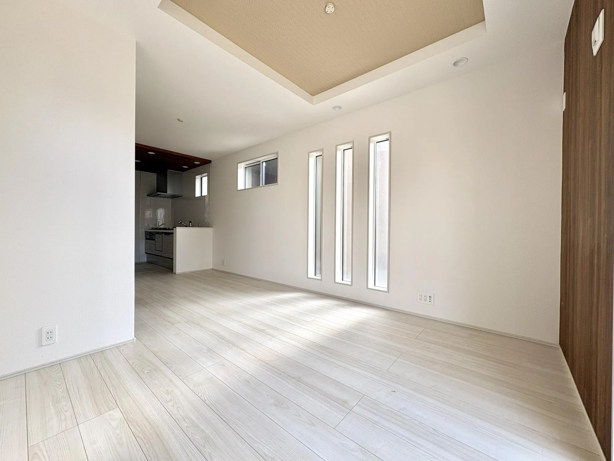 【1号棟/LDK(12.37帖)】