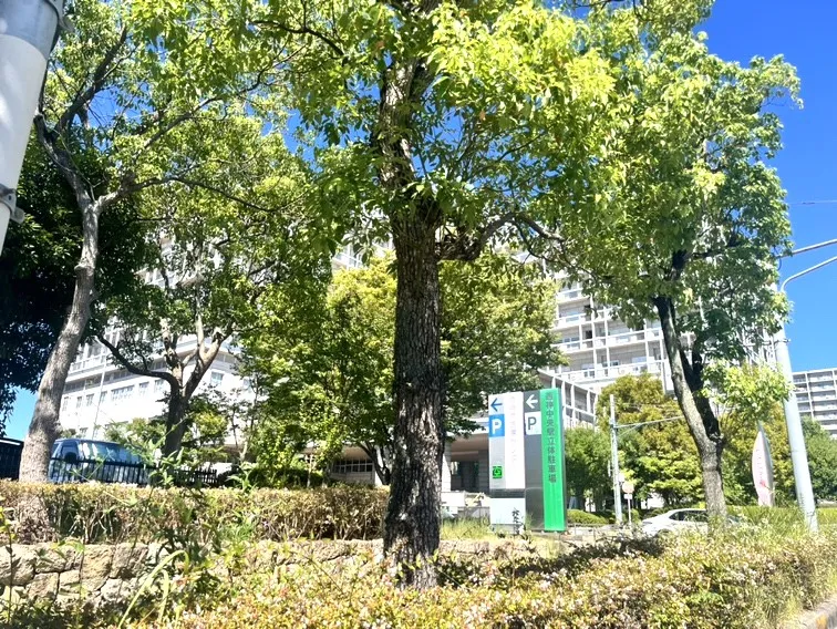 ◆西神戸医療センター◆