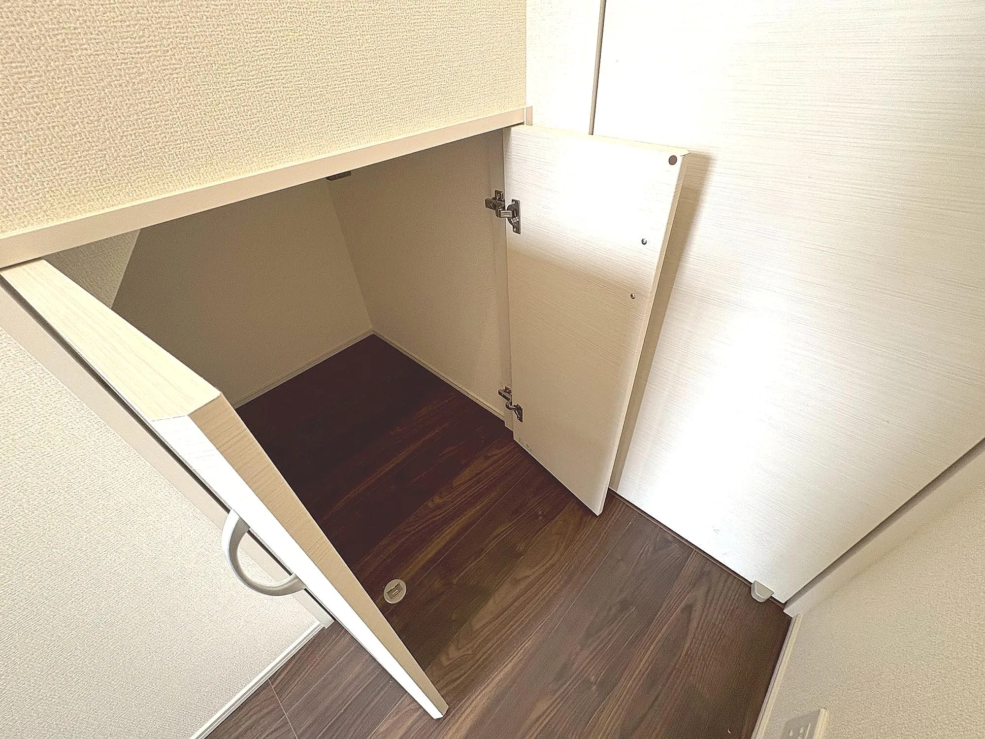 階段下収納(1号棟)