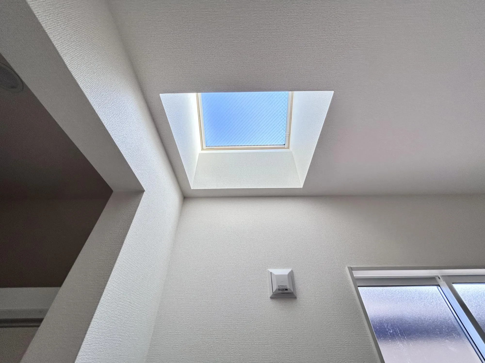 【トップライト】