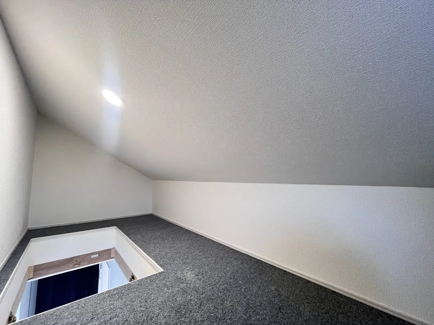 【3号棟】洋室6.0帖小屋裏収納(グルニエ)