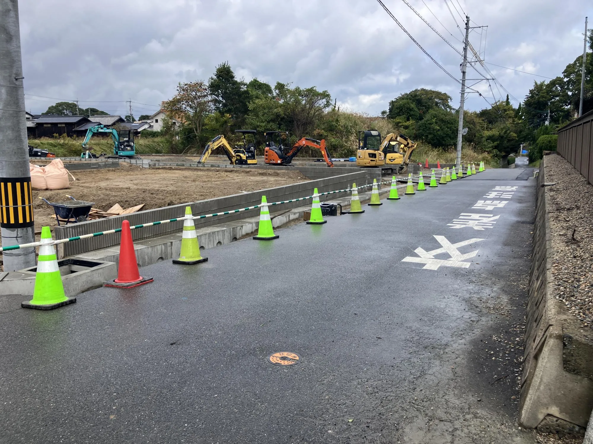 現地写真　2025年11月上旬