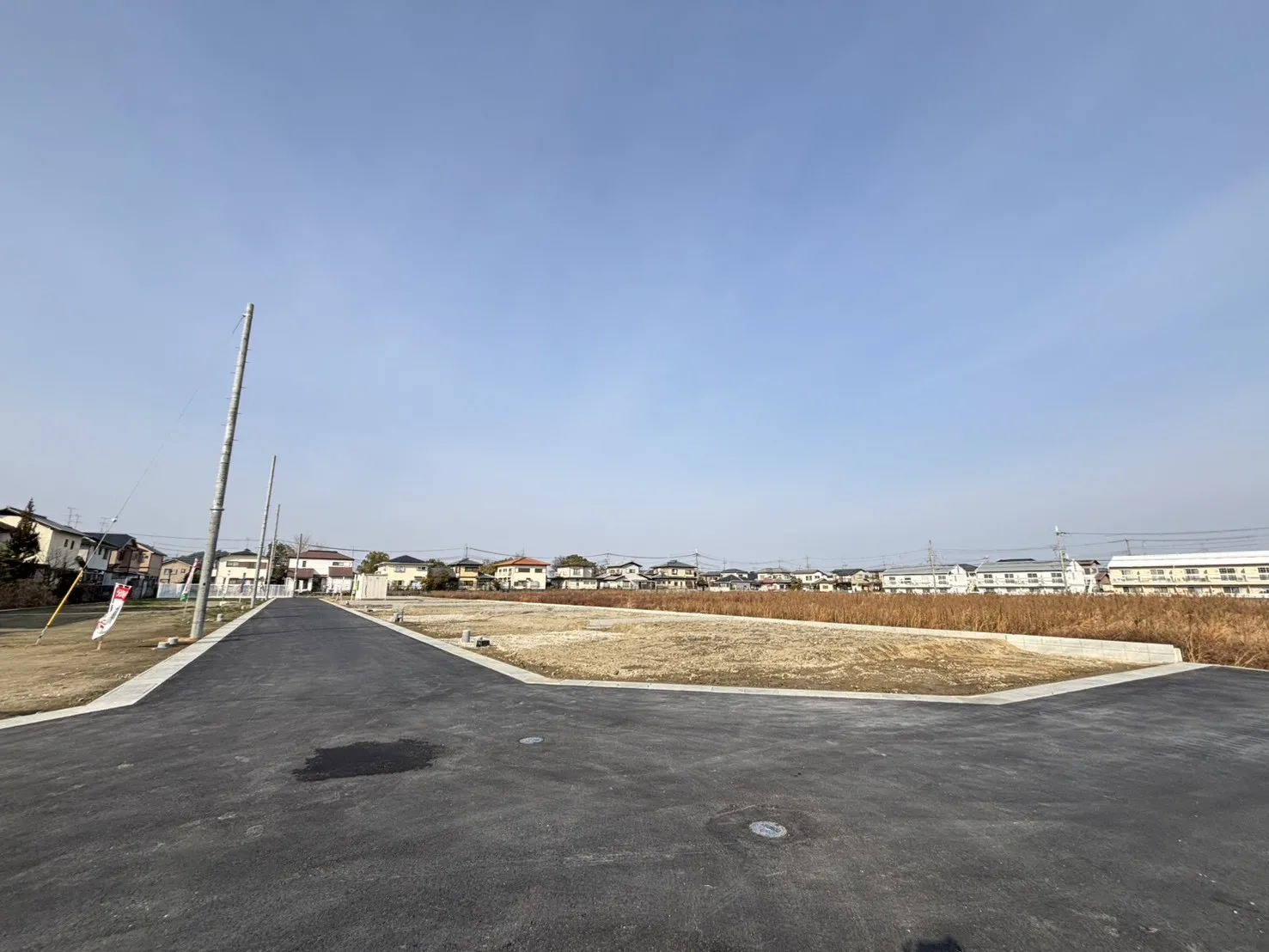 2026年1月中旬現地撮影