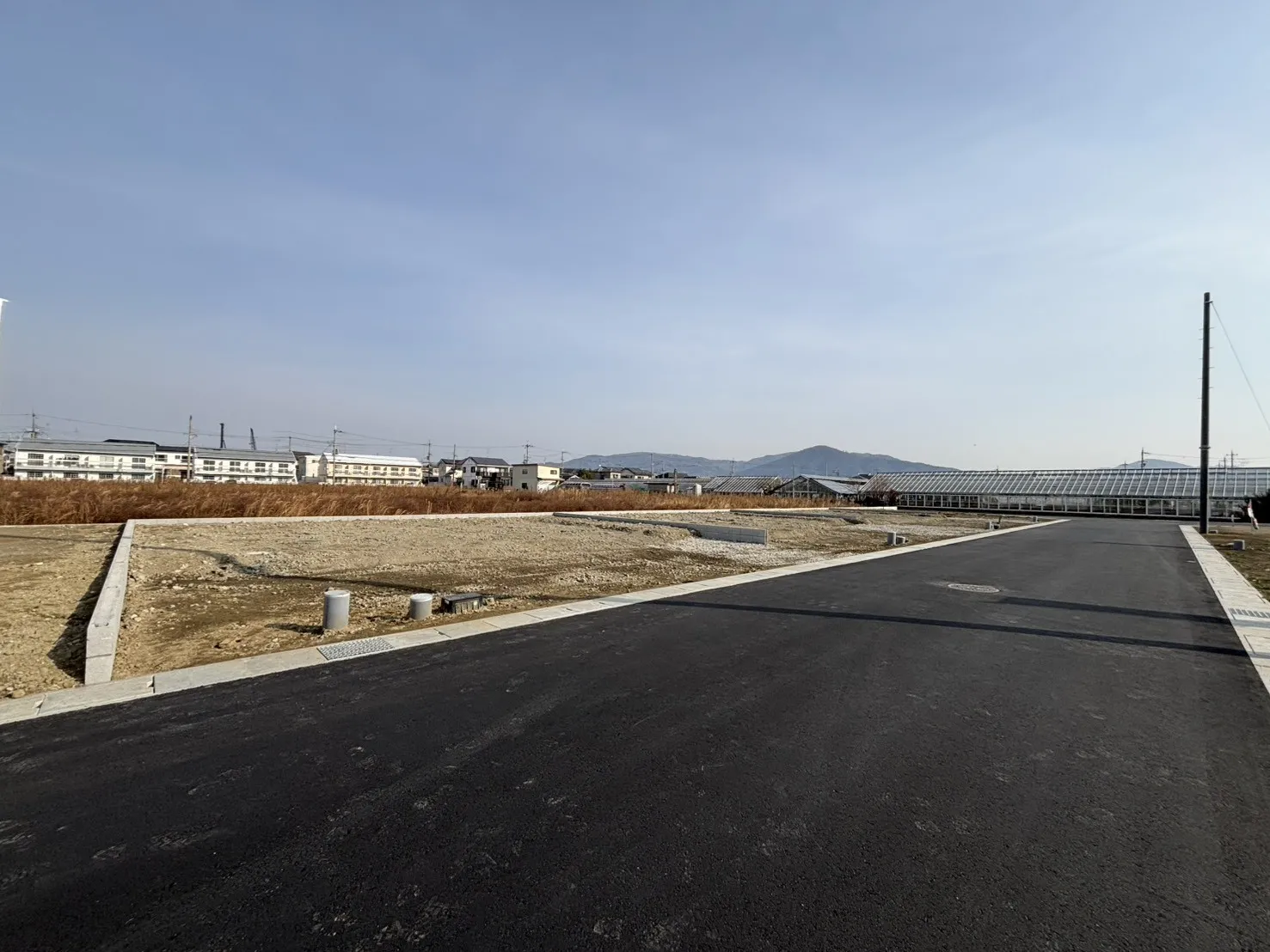 2026年1月中旬現地撮影