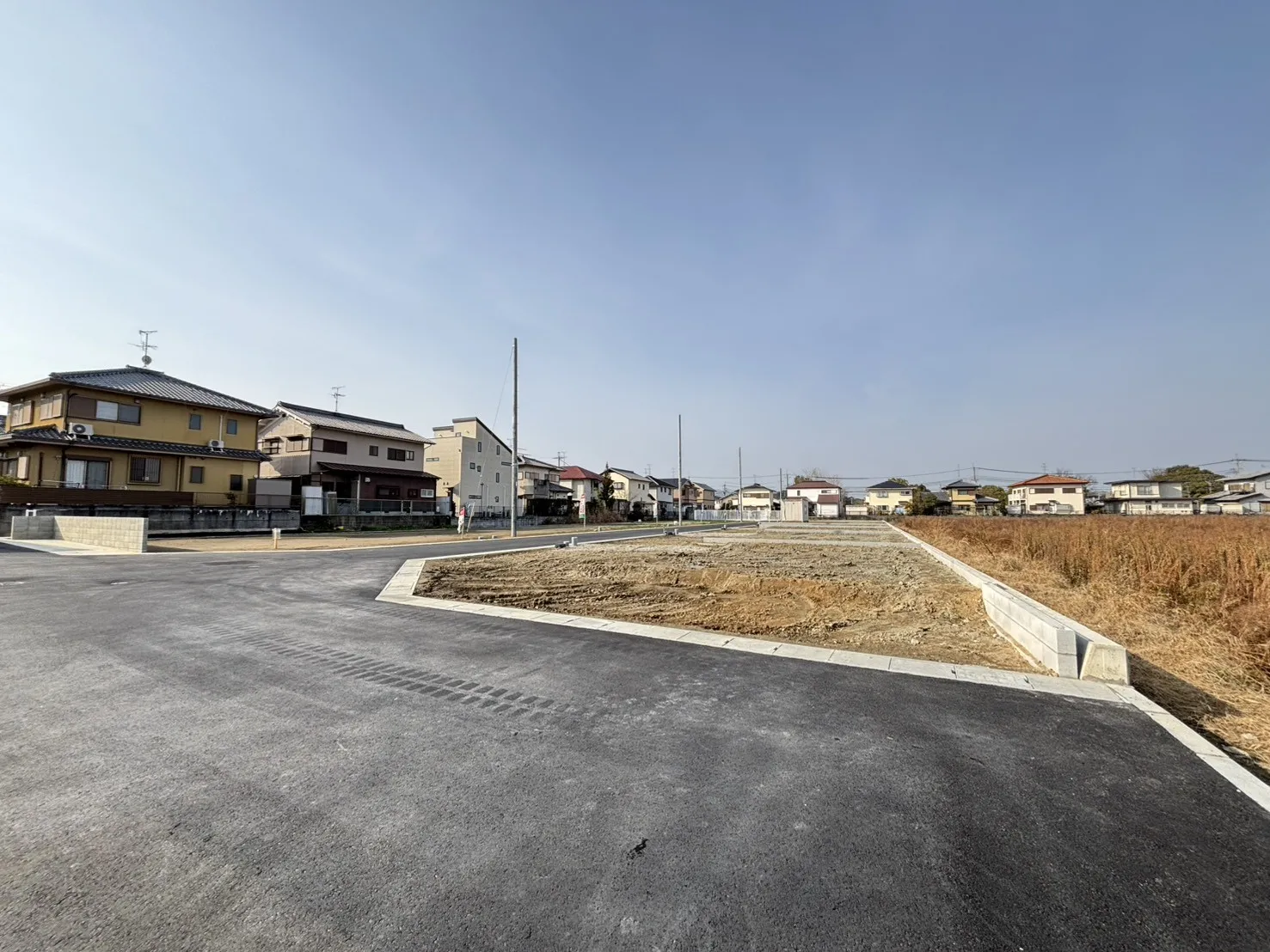 2026年1月中旬現地撮影