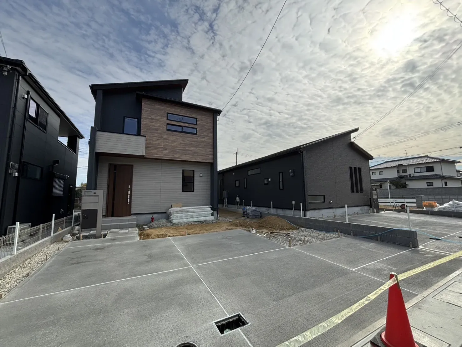 2025年11月下旬撮影