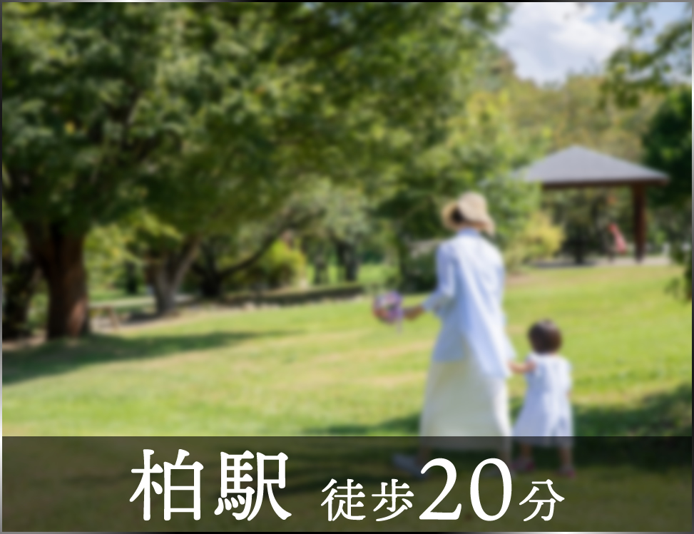 ブルーミングガーデン 柏市緑ケ丘2棟