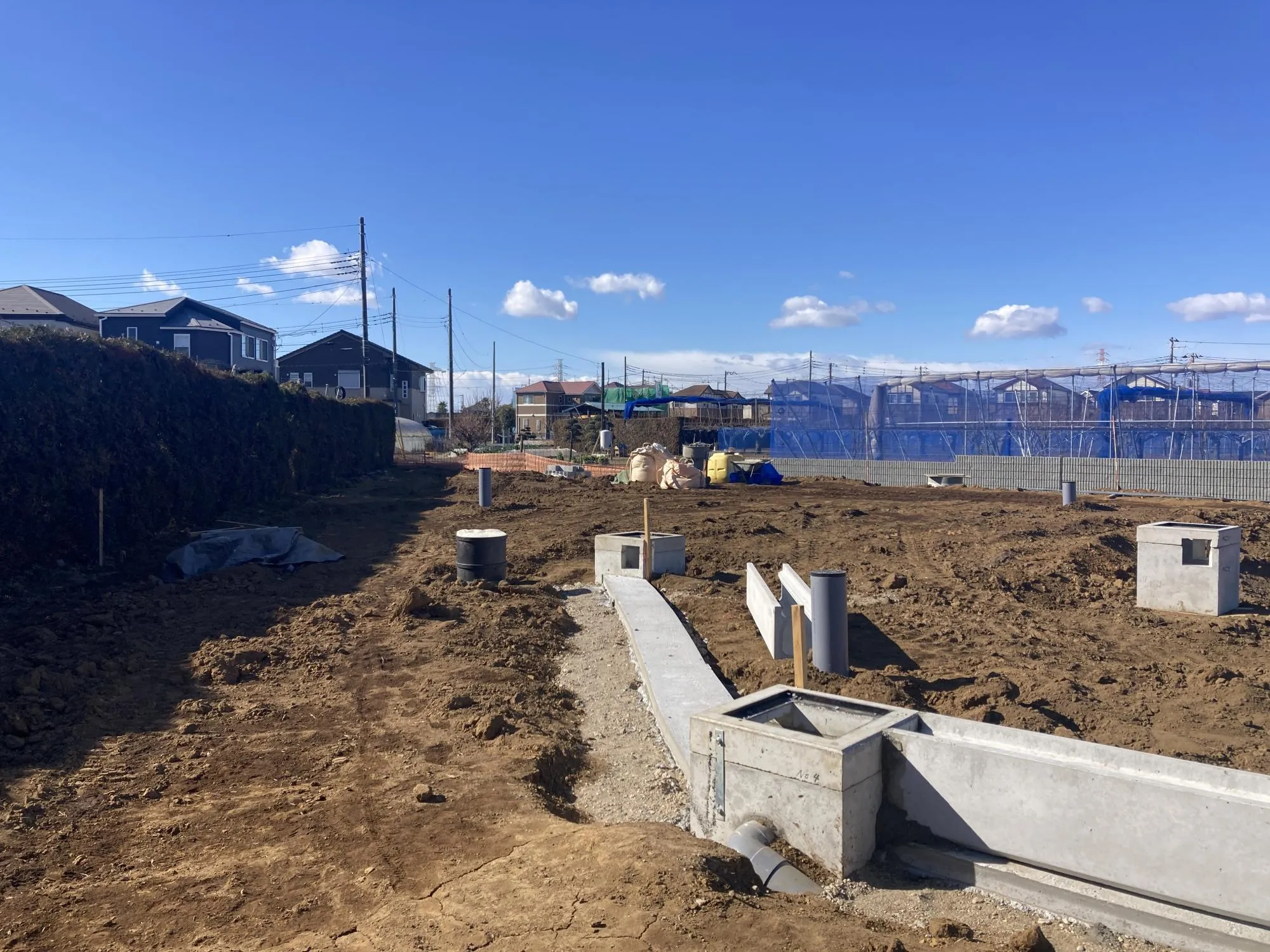 ★販売現地★
2026.1.25　撮影