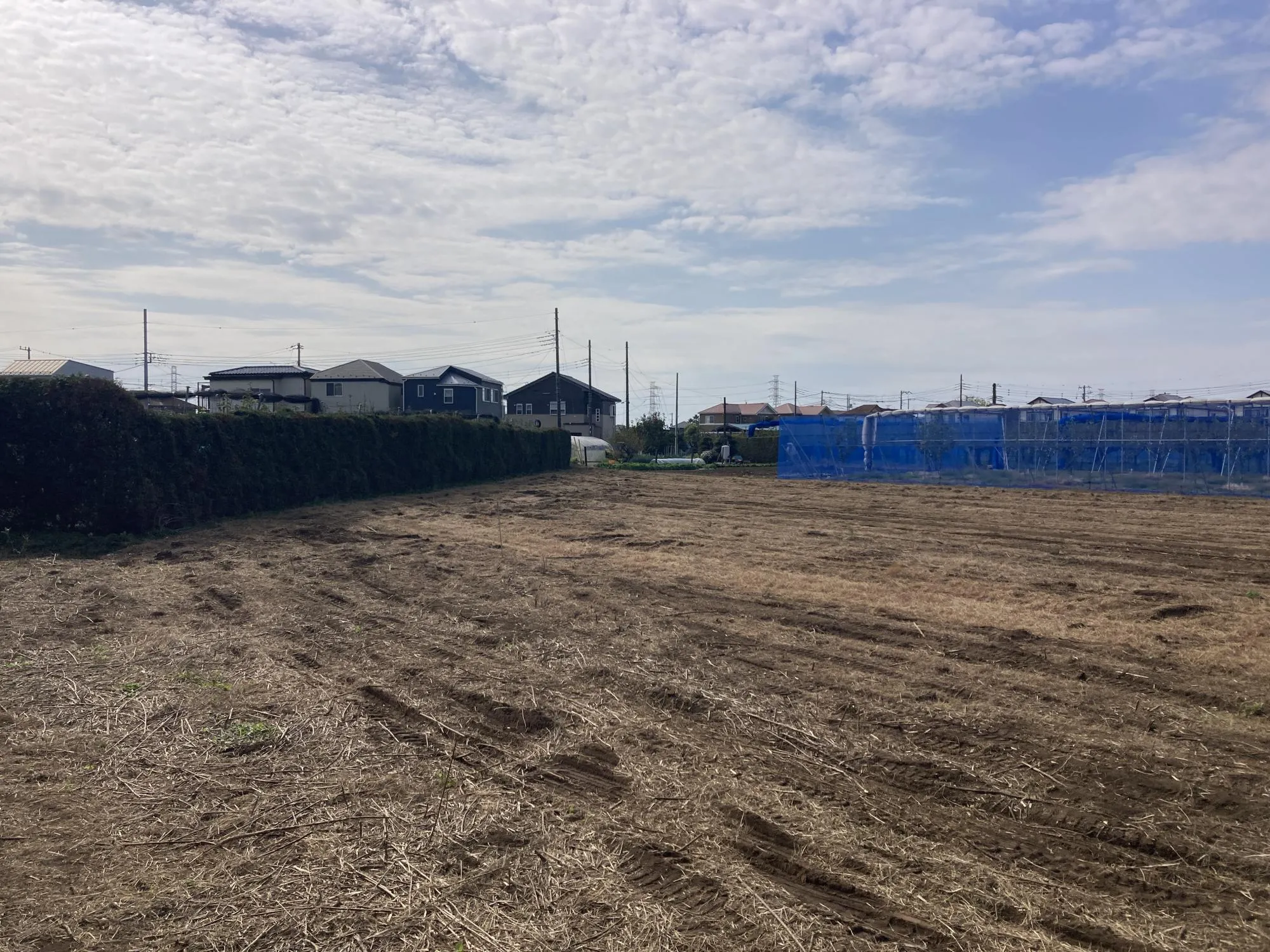 ★販売現地★
2025.11.8　撮影