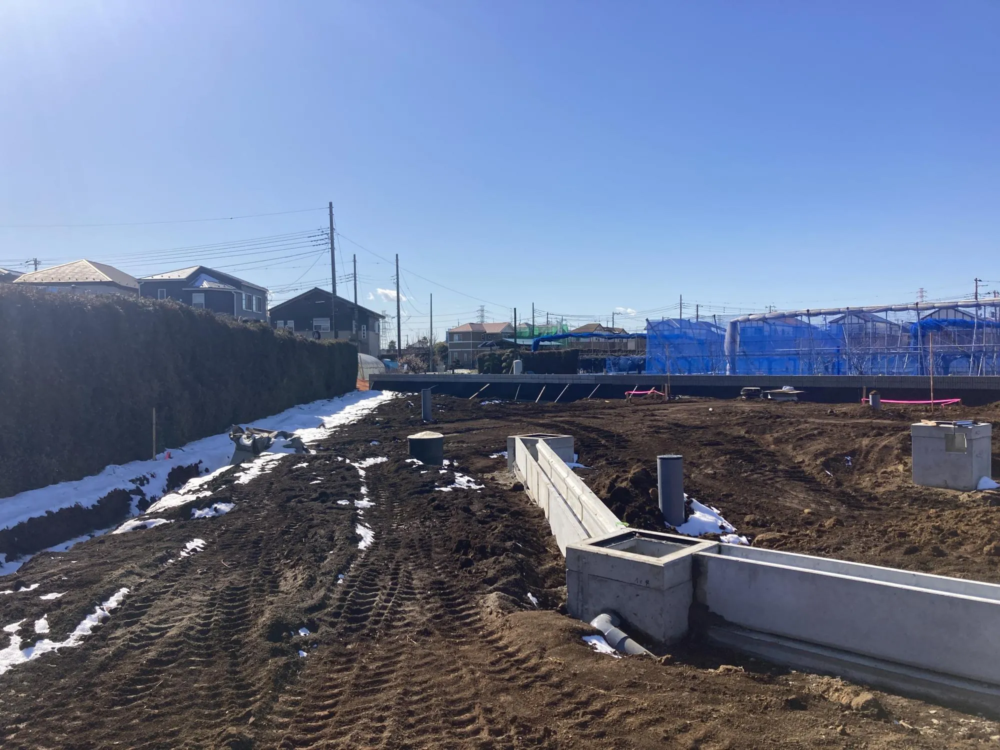 ★販売現地★
2026.2.9　撮影