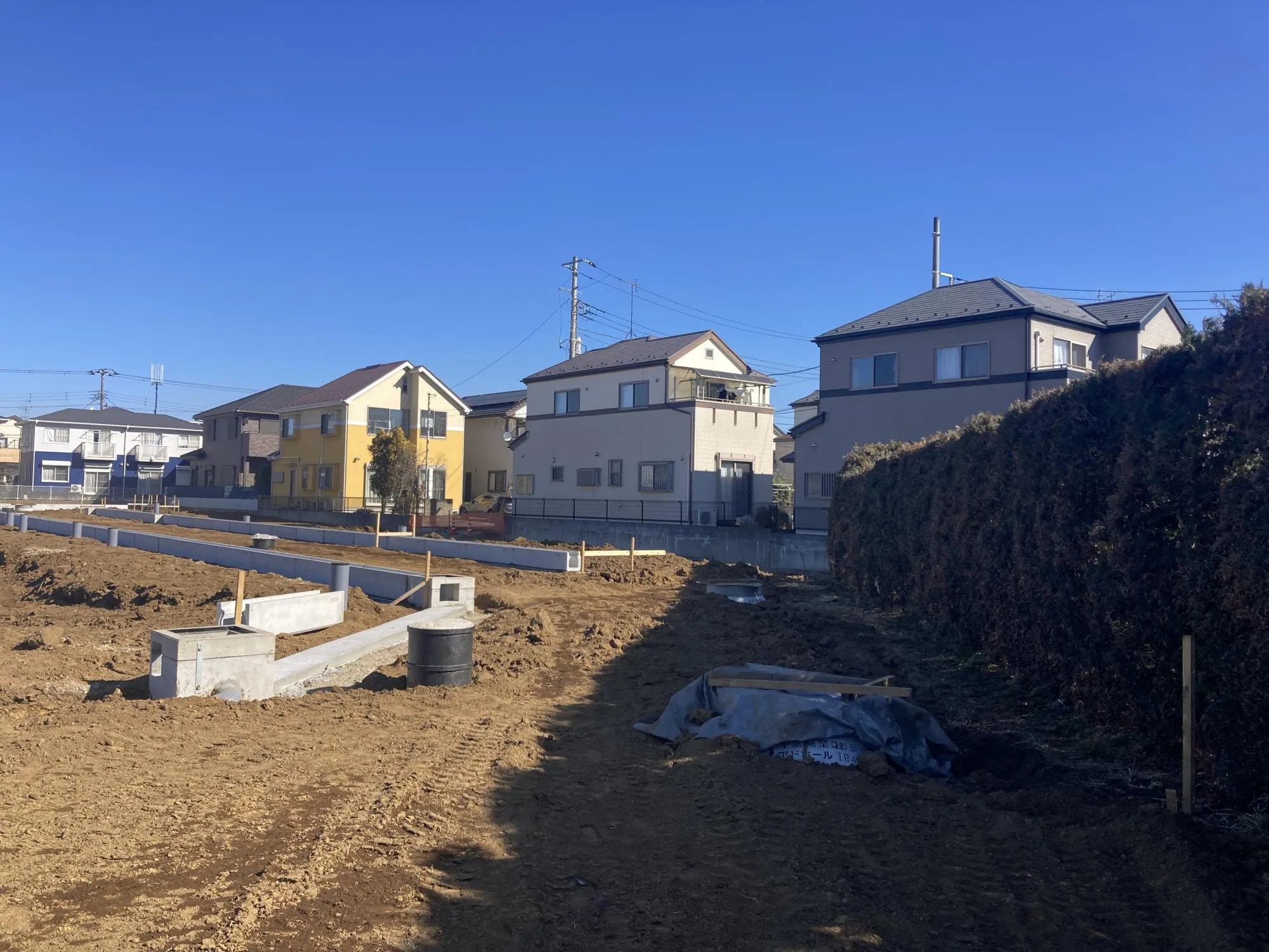 ★販売現地★
2026.1.25　撮影