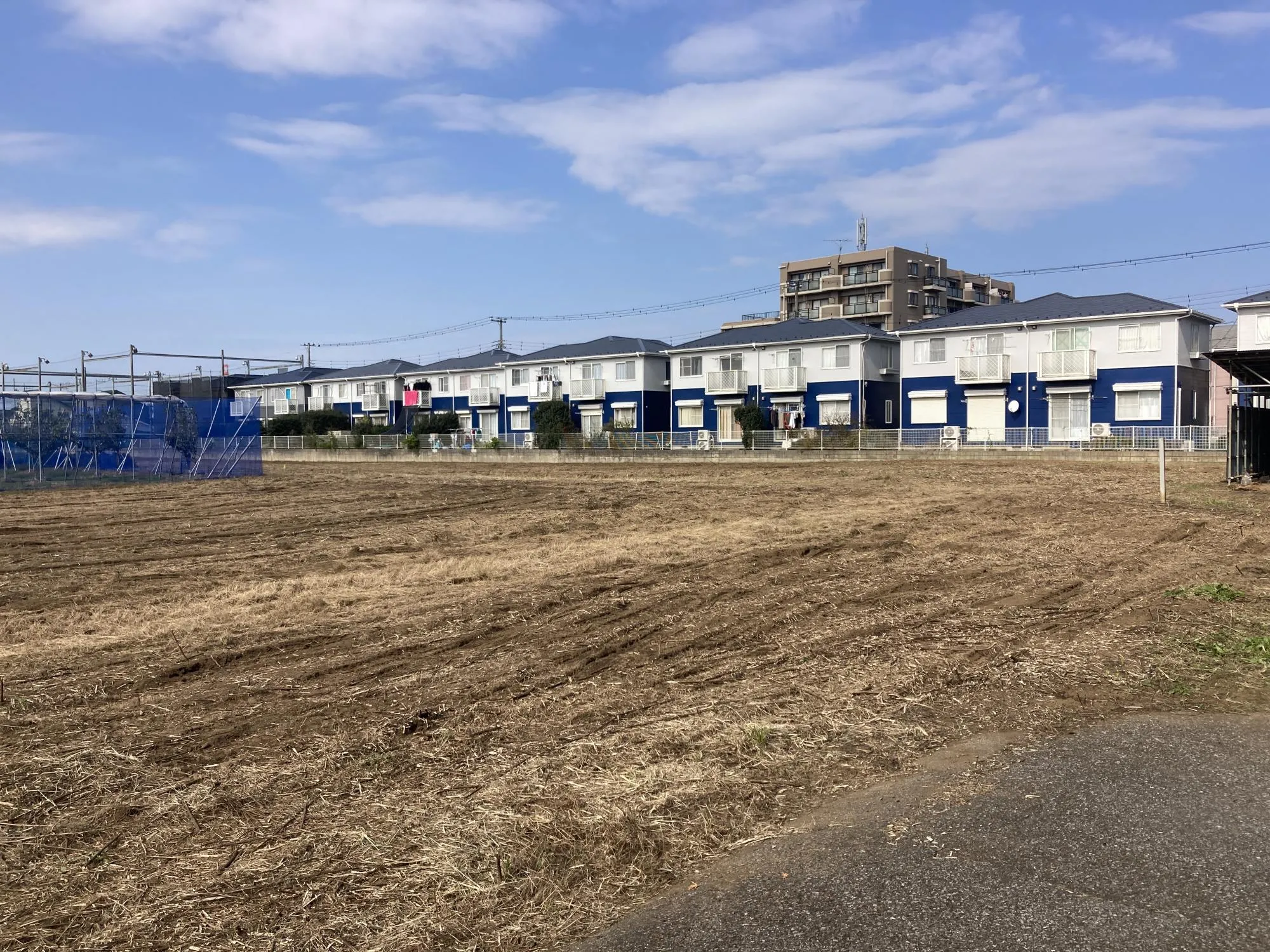 ★販売現地★
2025.11.8　撮影